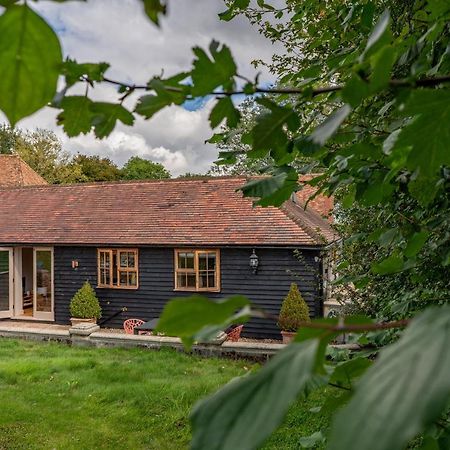 Вилла Crabtree Farm - South Stable Ашфорд Экстерьер фото