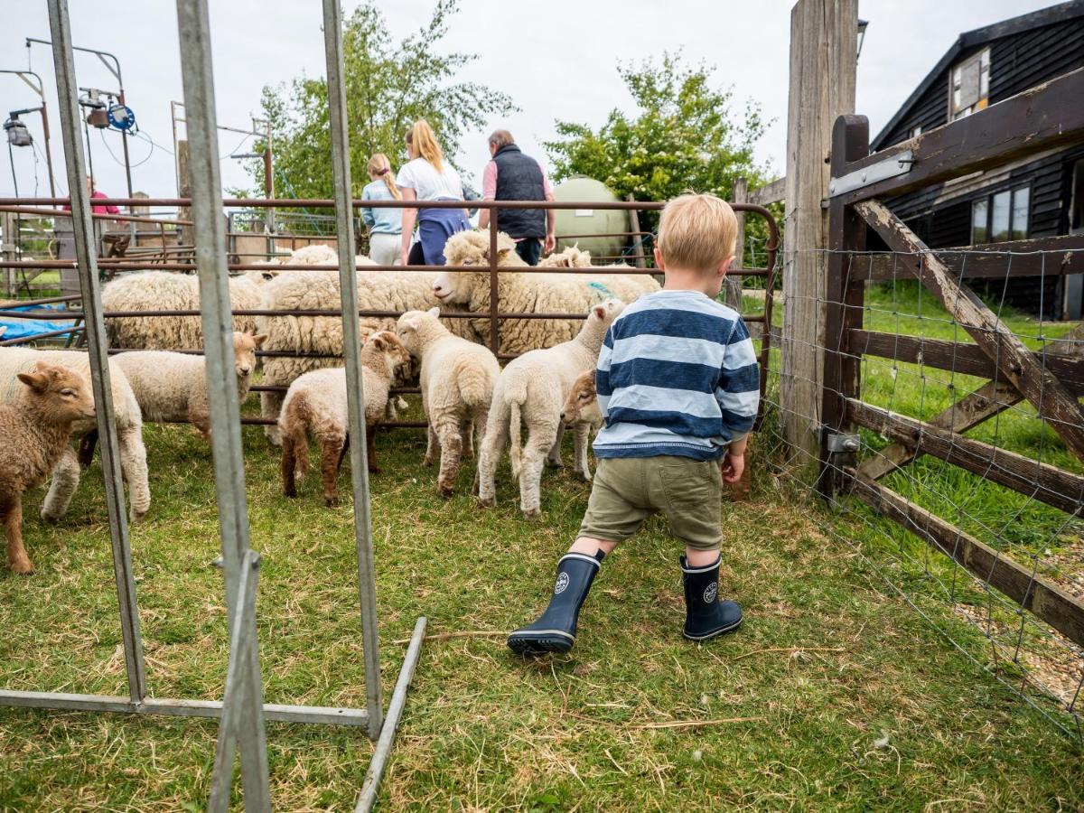Вилла Crabtree Farm - South Stable Ашфорд Экстерьер фото